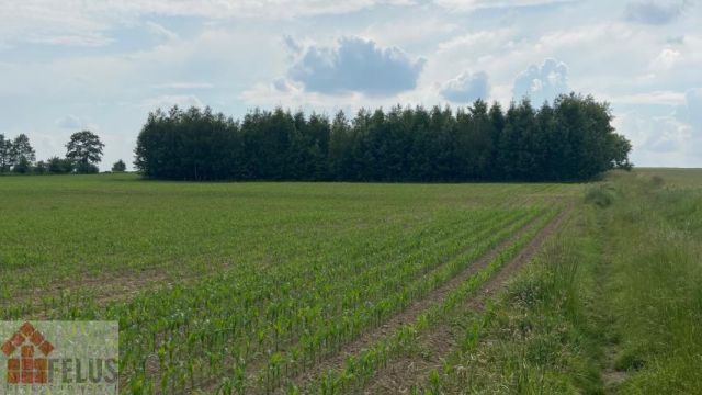 Działka rolna Czułówek. Zdjęcie 5