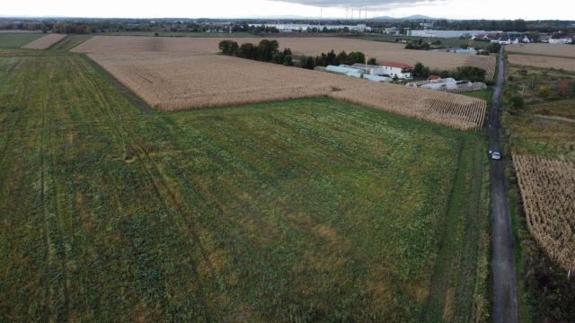 Działka inwestycyjna Ścinawa Polska. Zdjęcie 2