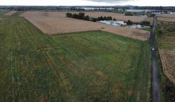 Działka inwestycyjna Ścinawa Polska