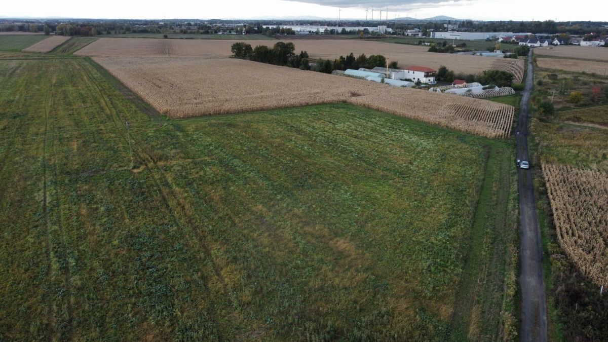 Działka inwestycyjna Ścinawa Polska. Zdjęcie 2