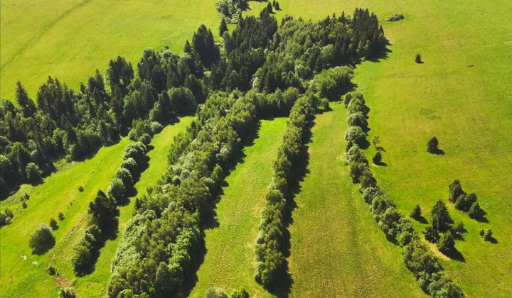 Działka rolno-budowlana Kamieńczyk
