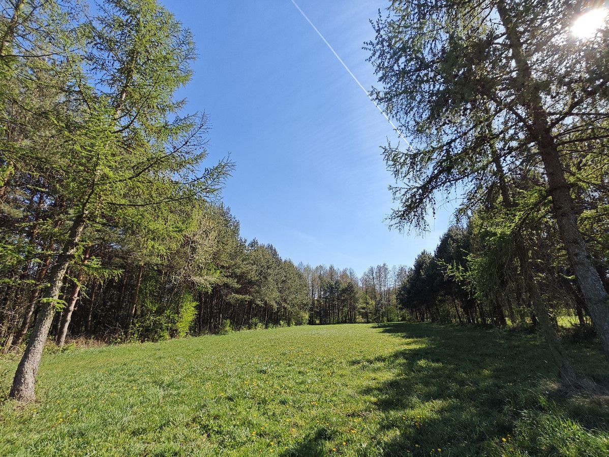 Działka rolno-budowlana Stare Zambski. Zdjęcie 23