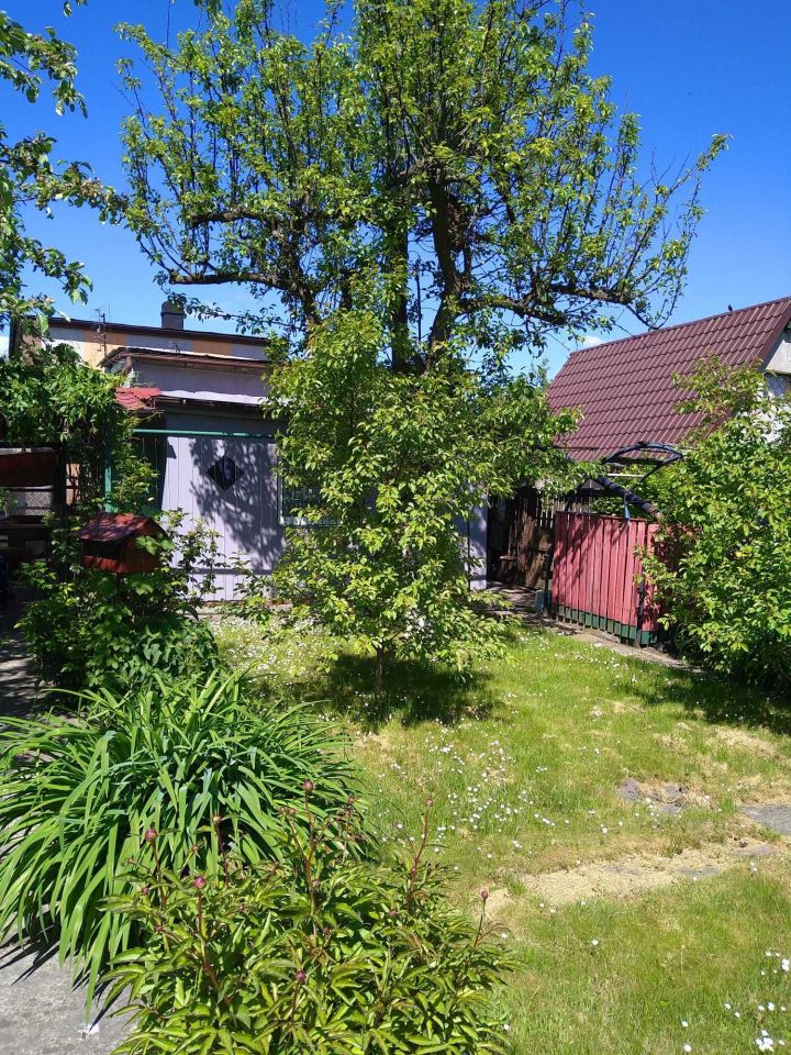 Działka rekreacyjna Bytom. Zdjęcie 1