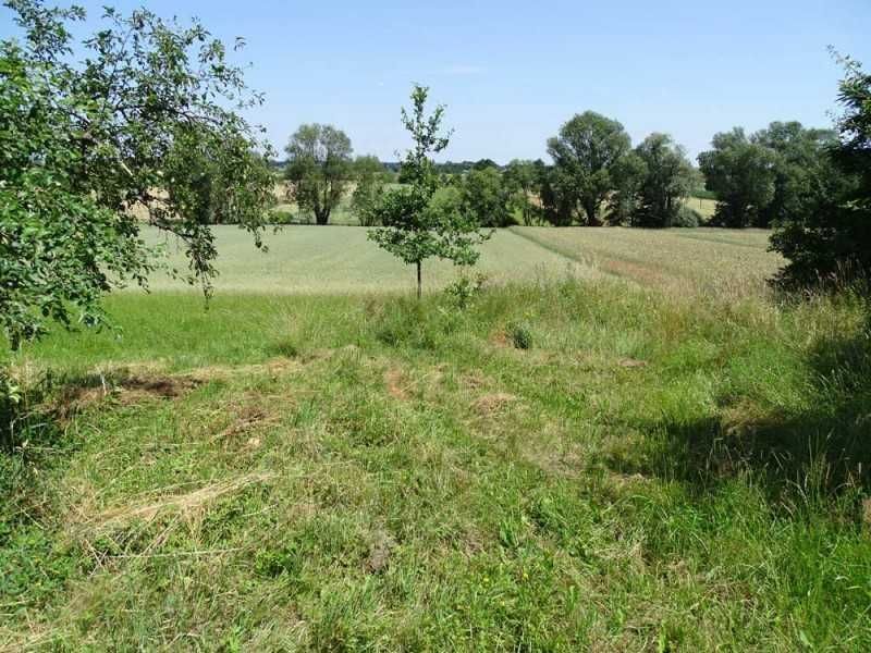 dom wolnostojący Wielowieś. Zdjęcie 4