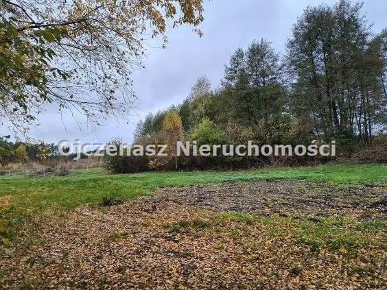 Działka rolna Kruszyn Krajeński. Zdjęcie 5