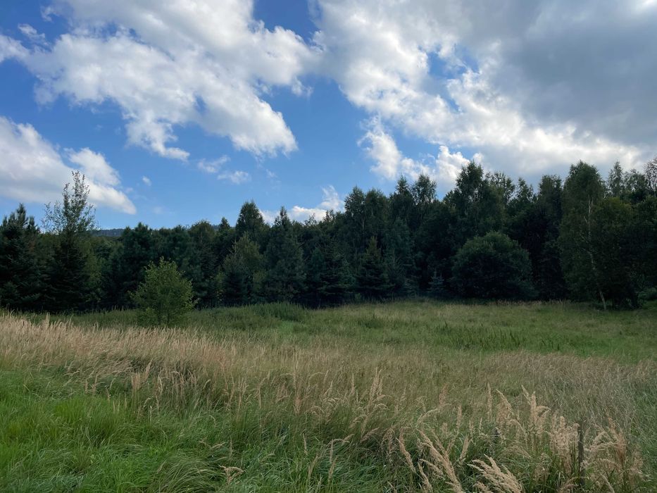 Działka budowlana Jarnołtówek. Zdjęcie 1