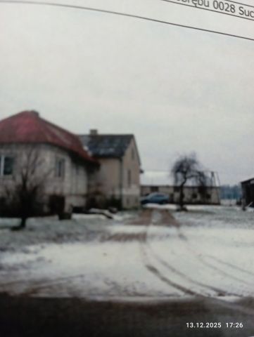 siedlisko Suchy Grunt. Zdjęcie 1