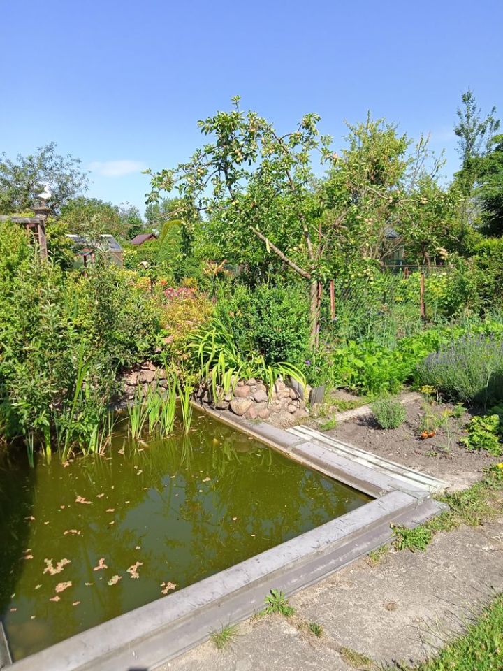 Działka rod Augustów. Zdjęcie 4