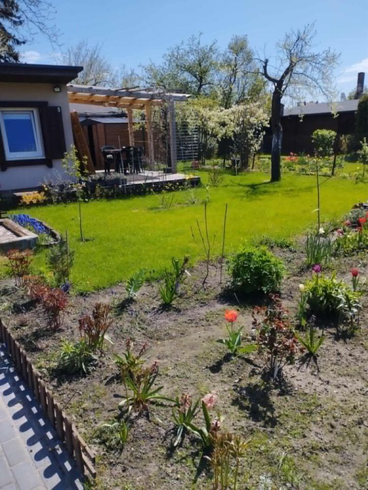 Działka rod Szczecin Centrum, ul. Adama Mickiewicza. Zdjęcie 3