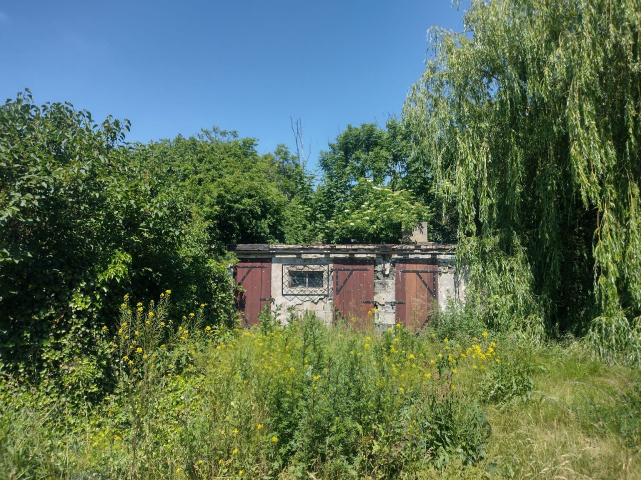 Działka rolno-budowlana Klonowiec Stary. Zdjęcie 5