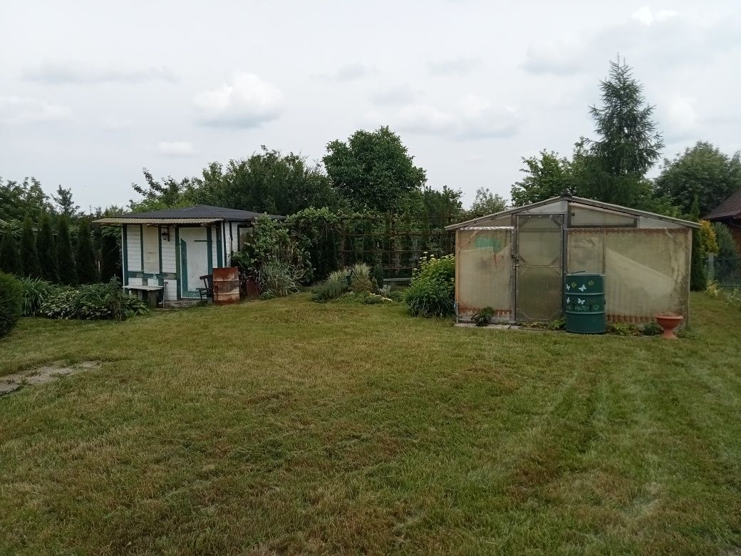 Działka rod Hajnówka. Zdjęcie 2