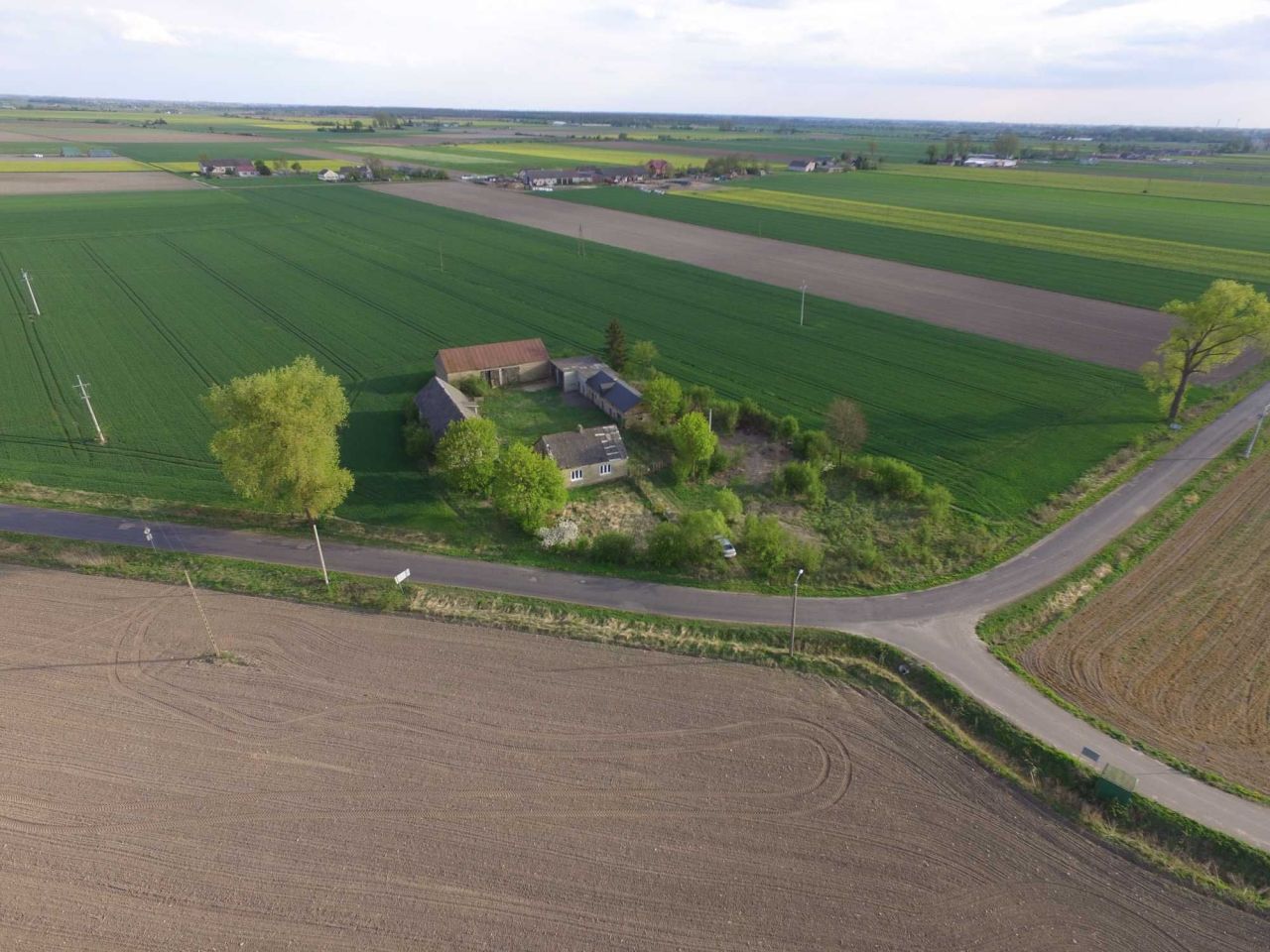 Działka siedliskowa Jagiełłów. Zdjęcie 4