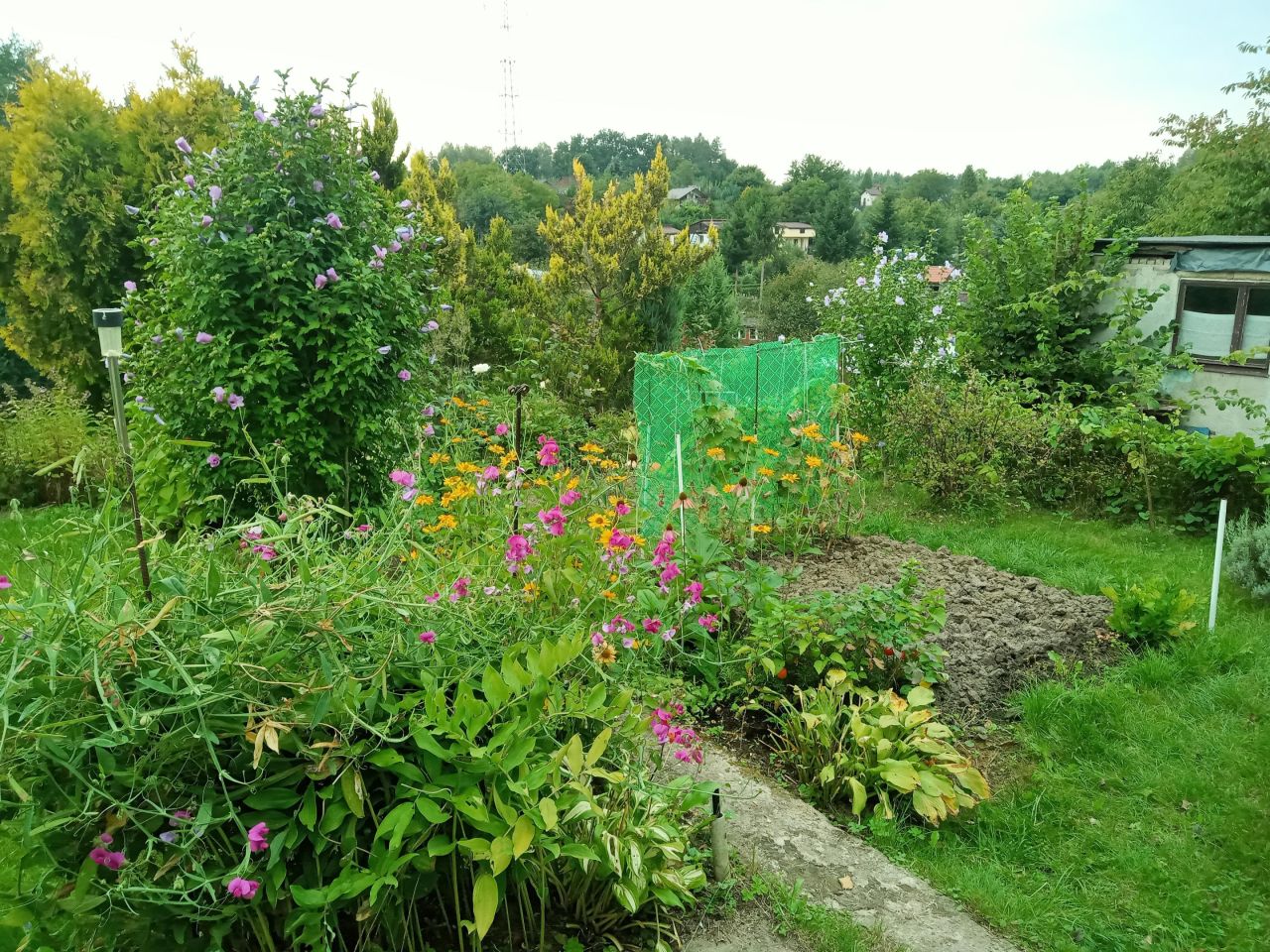 Działka rod Jastrzębie-Zdrój, ul. Stodoły. Zdjęcie 10