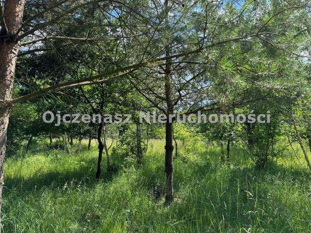 Działka budowlana Małe Rudy. Zdjęcie 3