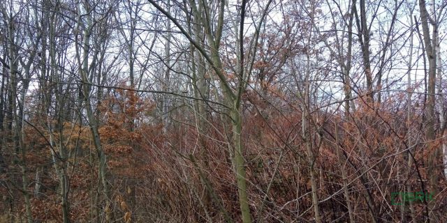 Działka inna Katowice Ligota, ul. Upadowa. Zdjęcie 5