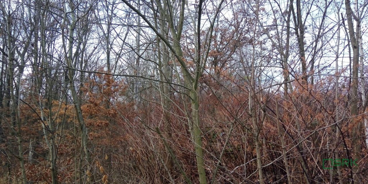 Działka inna Katowice Ligota, ul. Upadowa. Zdjęcie 5