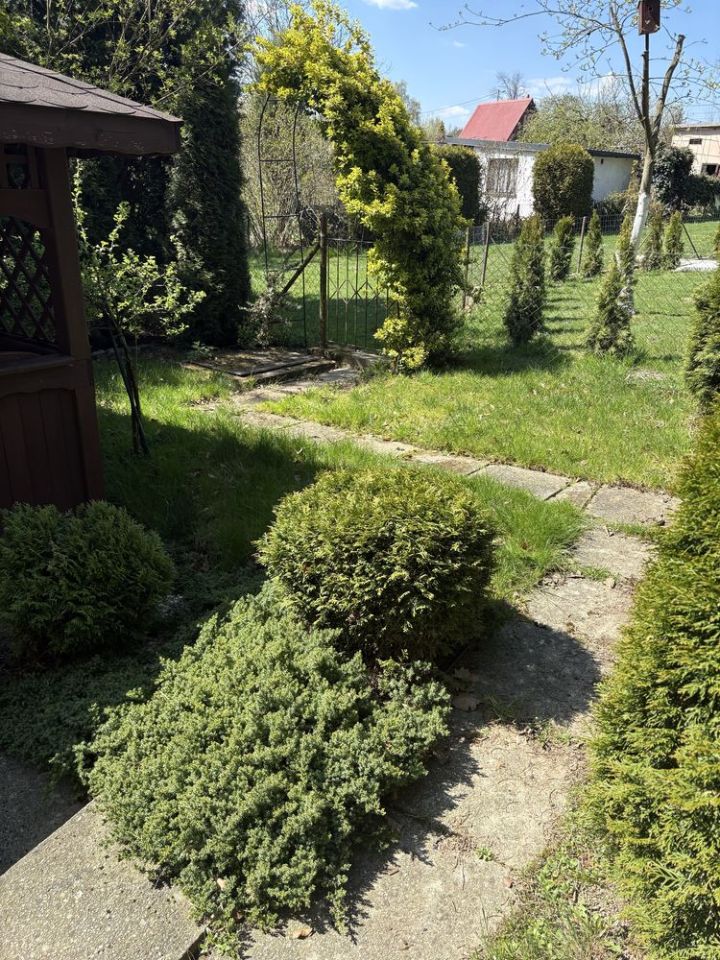 Działka rod Jastrzębie-Zdrój. Zdjęcie 4