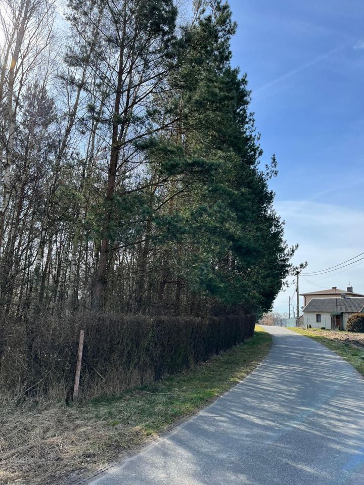 Działka rolno-budowlana Łochynia, ul. Spacerowa. Zdjęcie 7