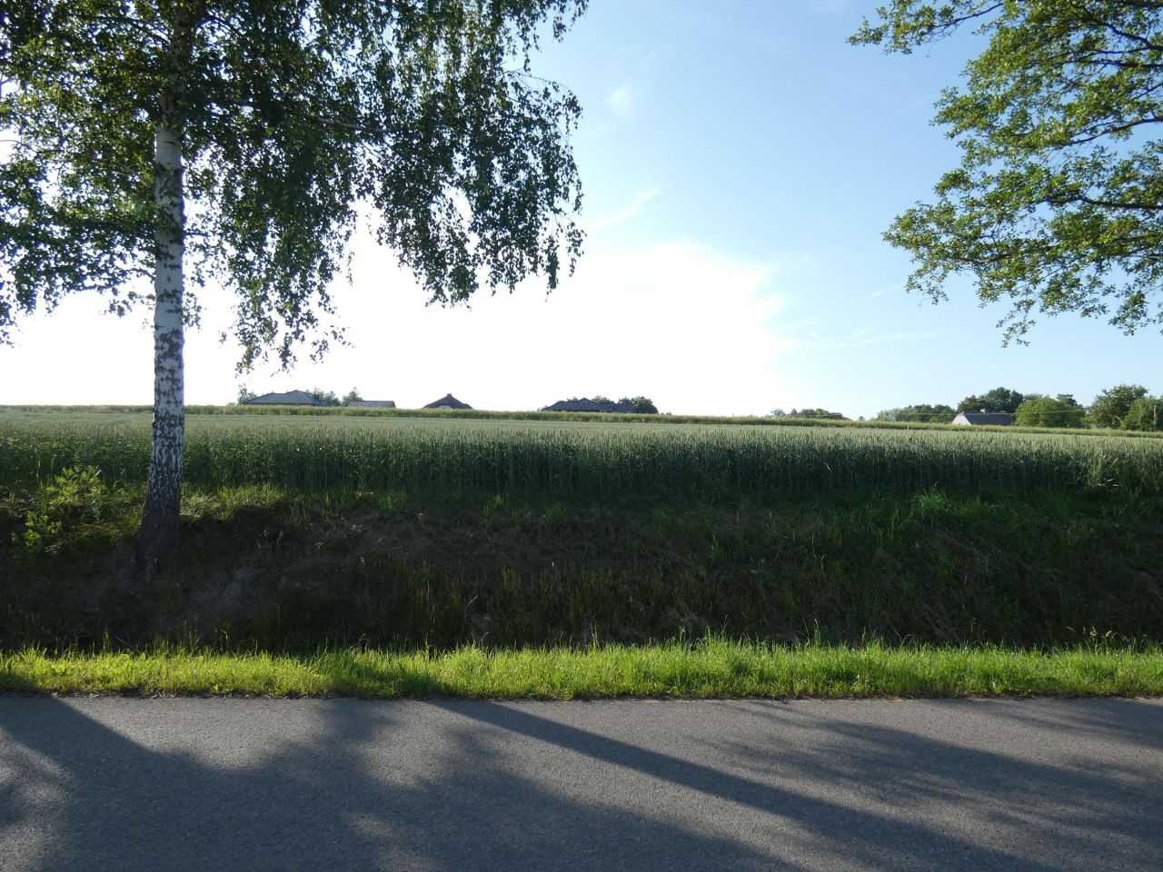 Działka budowlana Piotrowice. Zdjęcie 4