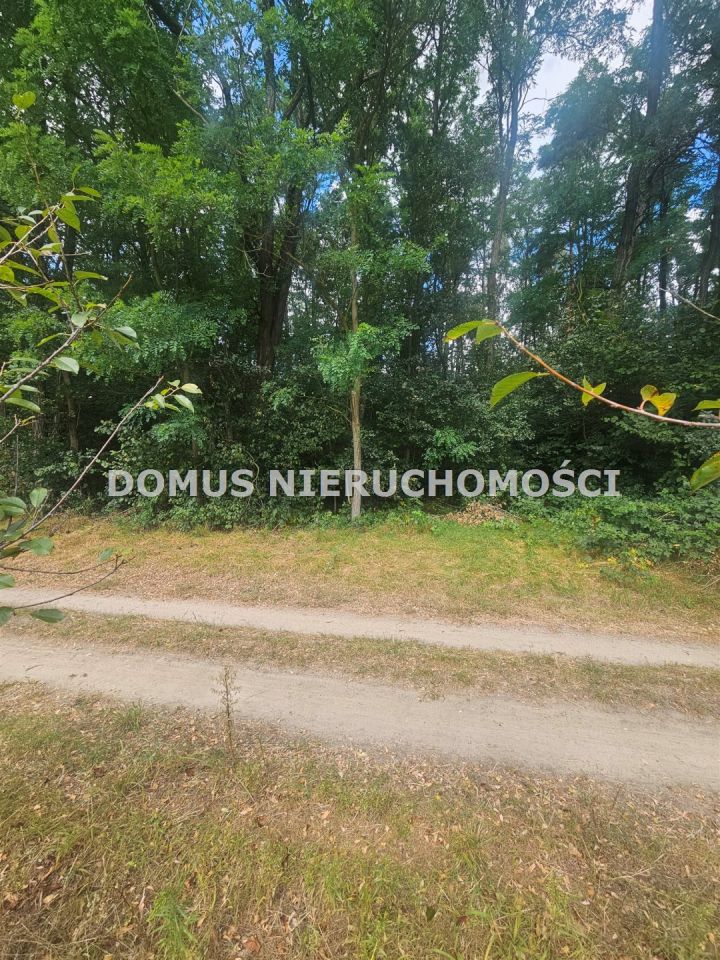 Działka leśna Nagawki. Zdjęcie 4