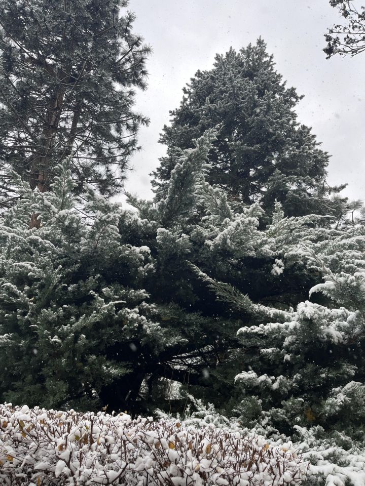 Mieszkanie 2-pokojowe Warszawa Śródmieście, ul. Inflancka. Zdjęcie 15