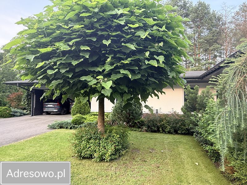dom wolnostojący, 8 pokoi Wiązowna, ul. Modrzewiowa. Zdjęcie 7