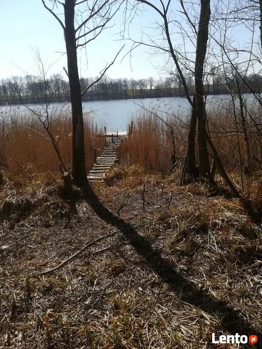 Działka rolna Kaszewo. Zdjęcie 15