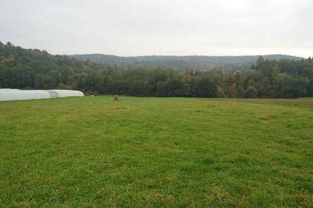 Działka rolno-budowlana Wieniec. Zdjęcie 1