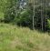 Działka rolna Kromnów. Zdjęcie 2