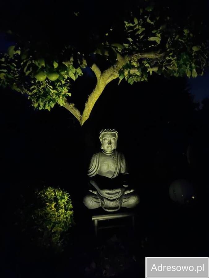 Działka rod Słocin. Zdjęcie 11