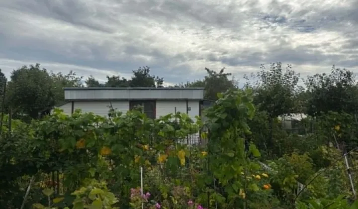 Działka rod Gdańsk, al. gen. Józefa Hallera