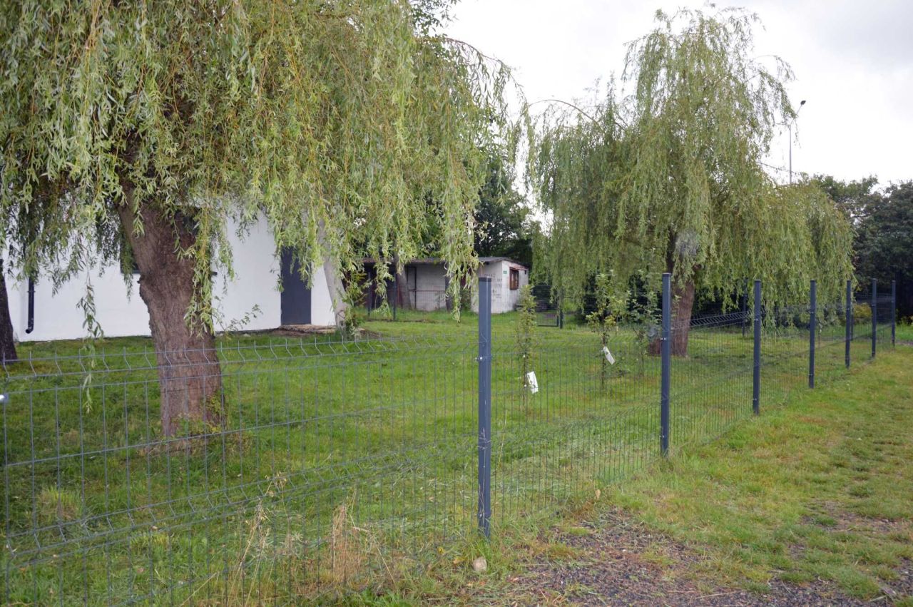 Działka rod Żory, ul. Działkowa. Zdjęcie 5