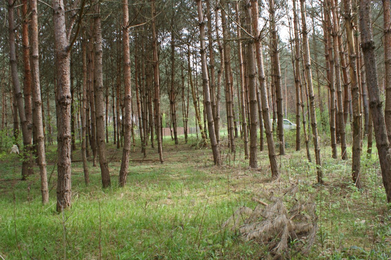 Działka rekreacyjna Czerwona Wola Myszkówka. Zdjęcie 16