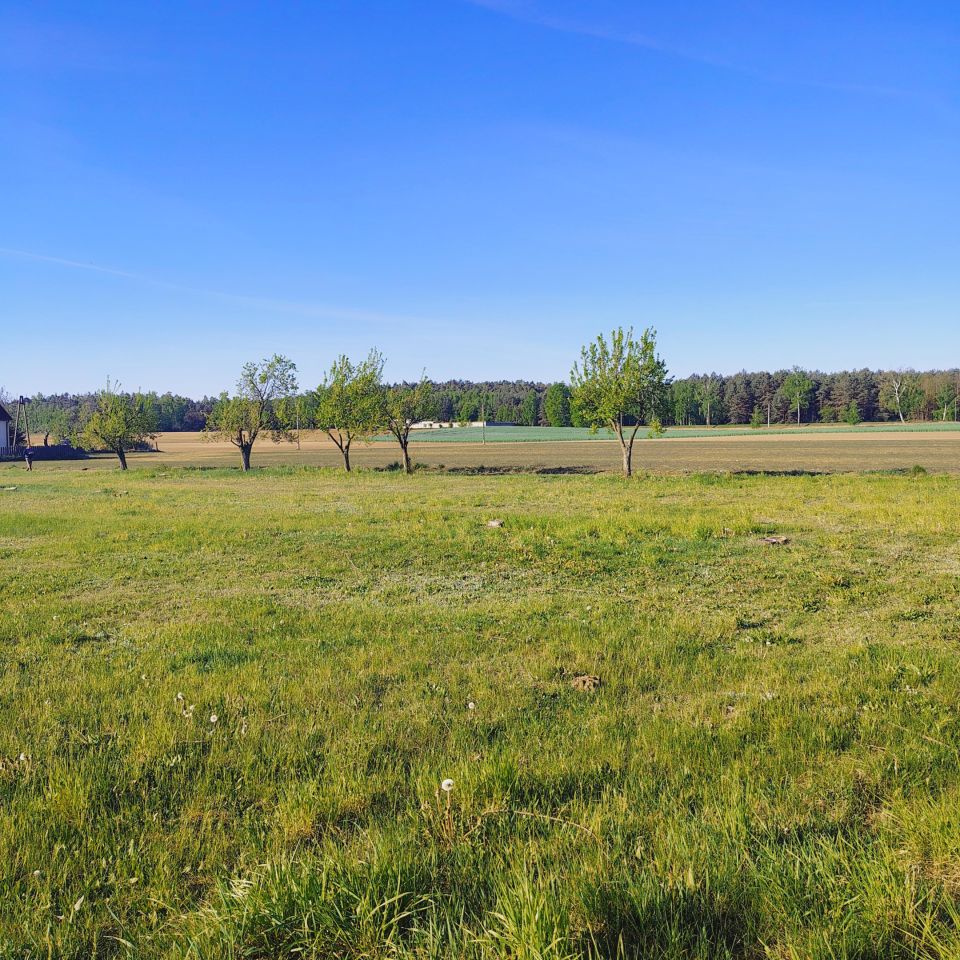 Działka budowlana Pniewo-Czeruchy. Zdjęcie 6