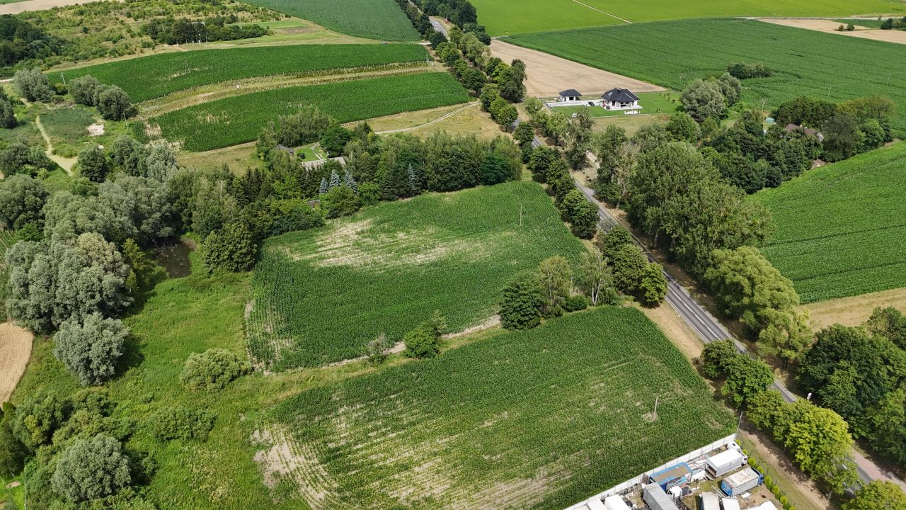 Działka rolna Obórki. Zdjęcie 18