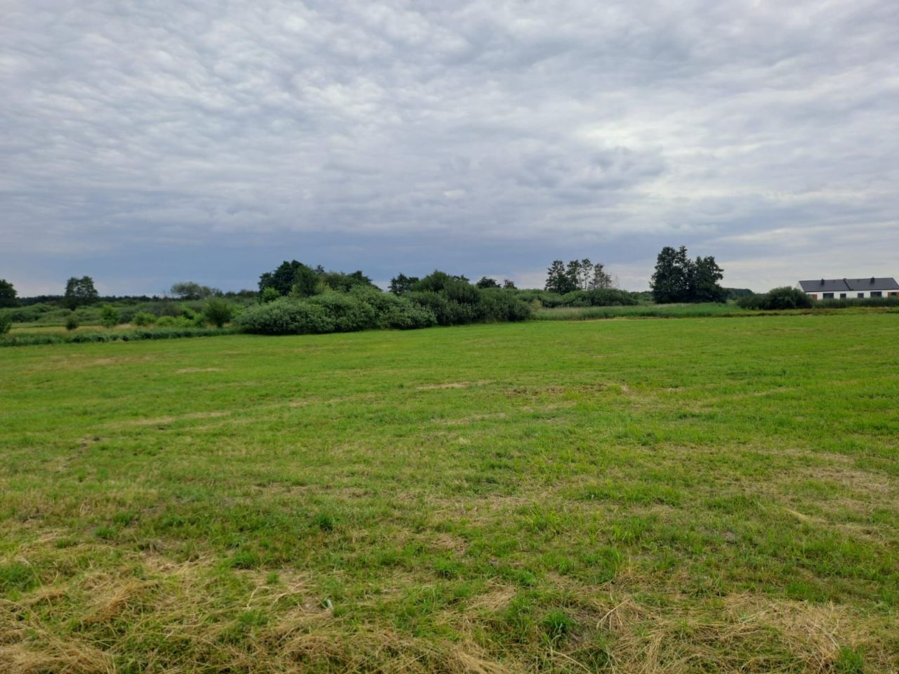 Działka budowlana Odolanów. Zdjęcie 5