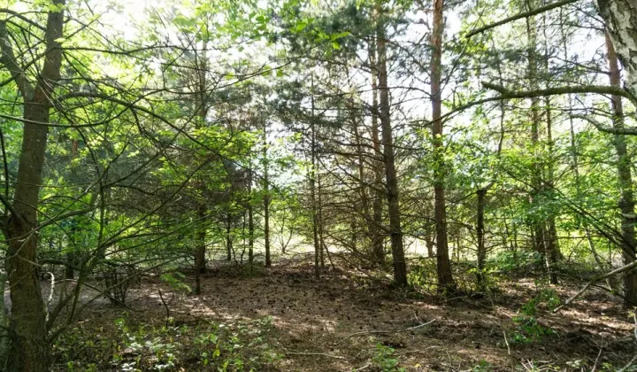 Działka rolno-budowlana Wola Pieczyska