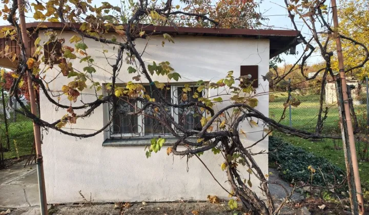 Działka rod Żary, ul. Pszenna