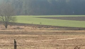 Działka budowlana Koszalin Raduszka, ul. Sasanek