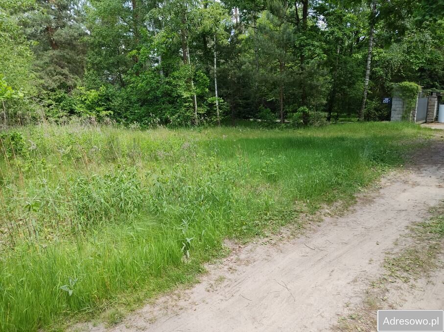 Działka rolna Pieńków. Zdjęcie 7