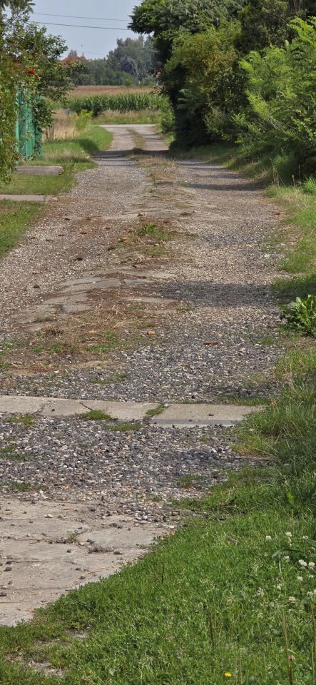 Działka budowlana Bramki Bramki Ukazowe, ul. Zaciszna. Zdjęcie 6