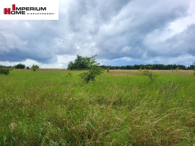 Działka budowlana Łebcz, ul. Pogodna. Zdjęcie 8