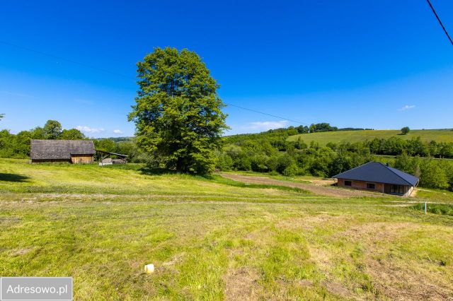Działka budowlana Korzenna. Zdjęcie 1