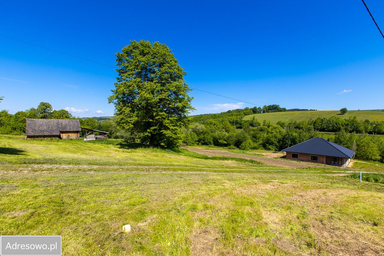 Działka budowlana Korzenna. Zdjęcie 1