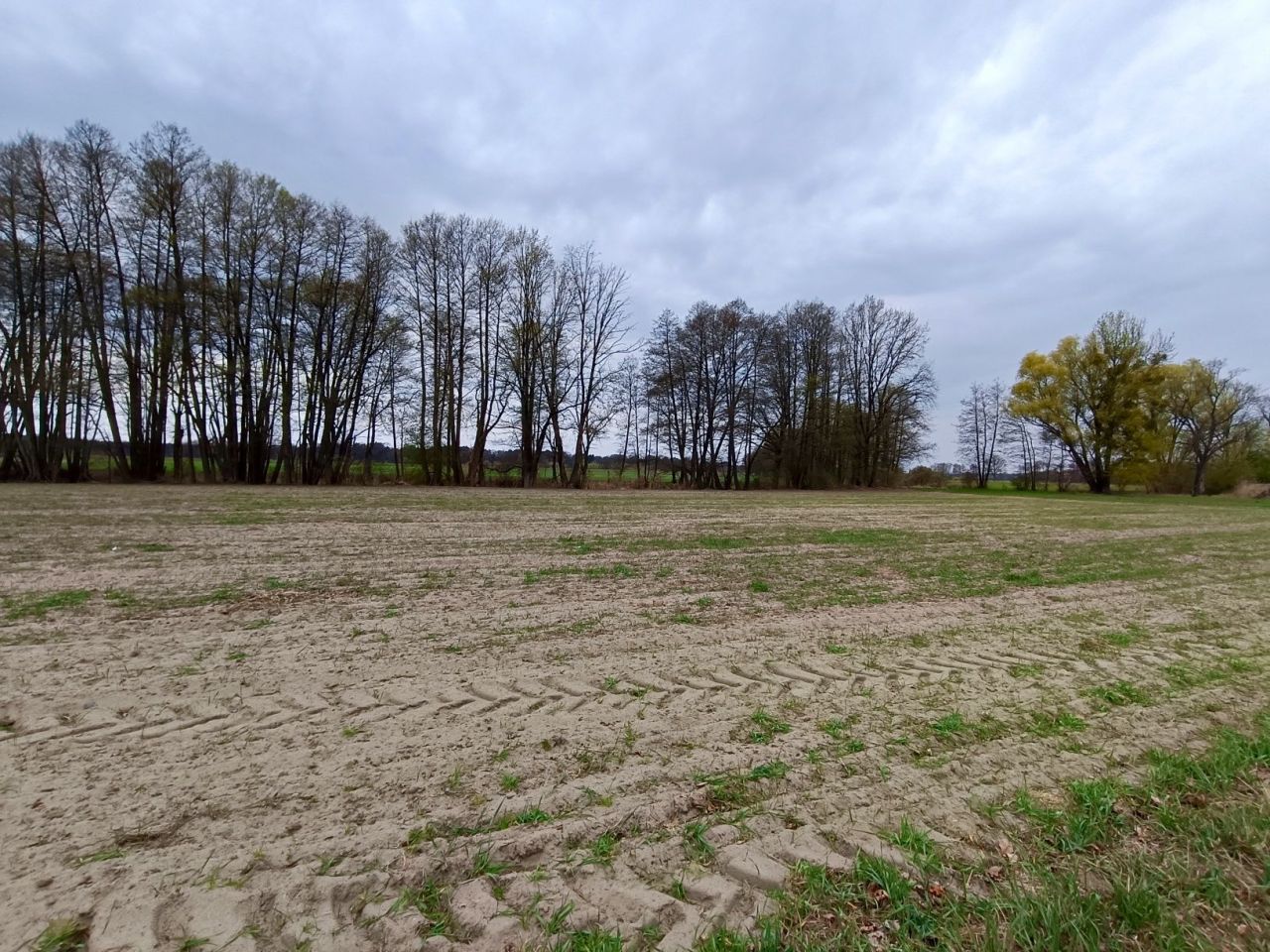 Działka budowlana Mierzyn. Zdjęcie 8