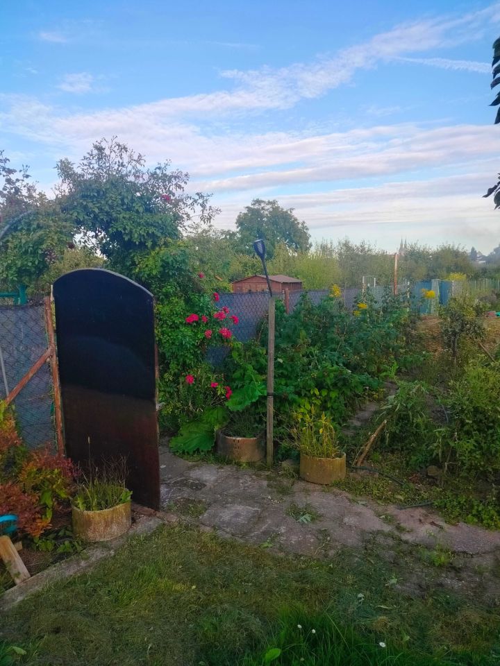 Działka rod Brzeg. Zdjęcie 4