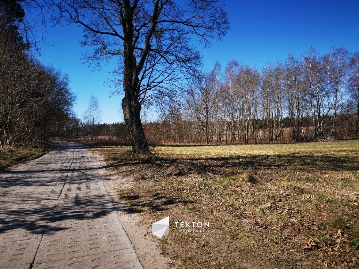 Działka rolna Żuławka, ul. Leśna. Zdjęcie 4