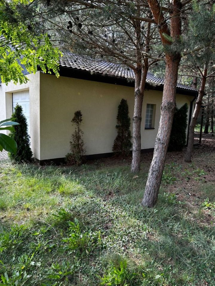 Działka budowlana Dąbrowa. Zdjęcie 2