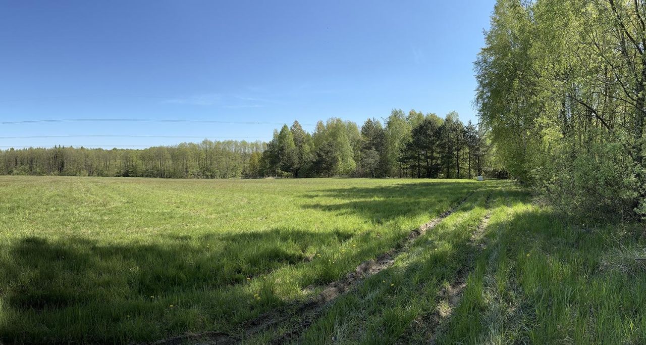 Działka rolna Szymankowszczyzna. Zdjęcie 2