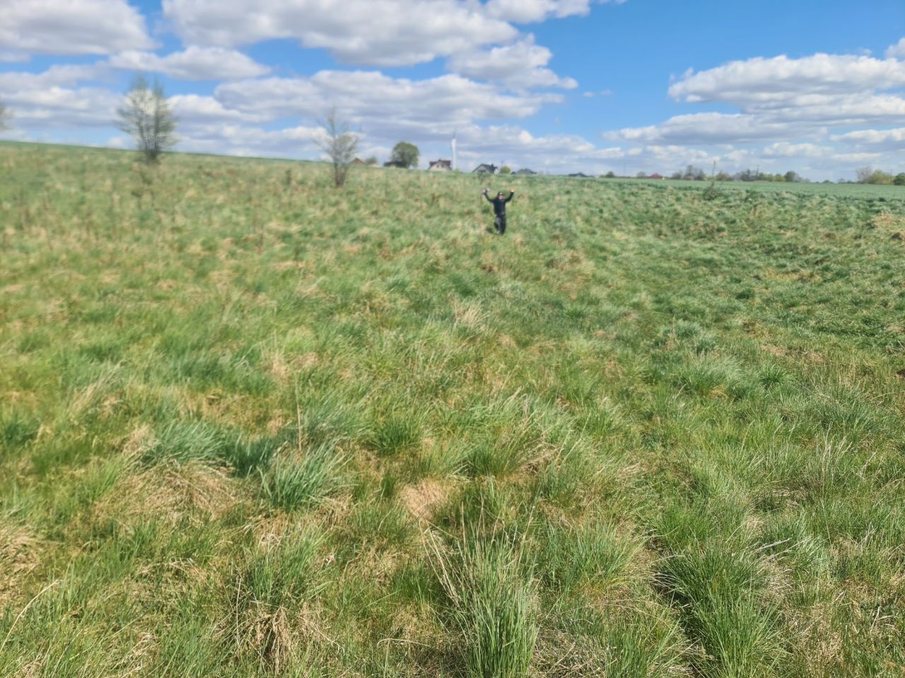 Działka rolna Barany. Zdjęcie 6